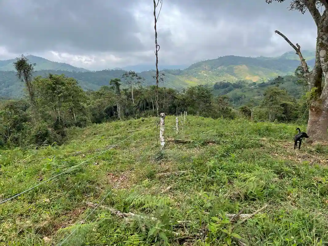 Finca Alto Gaviota